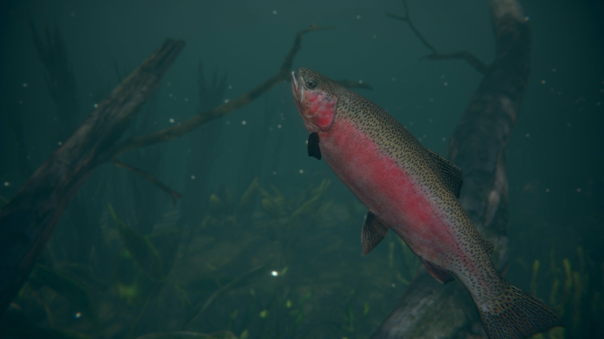 终极钓鱼模拟器2/Ultimate Fishing Simulator 2